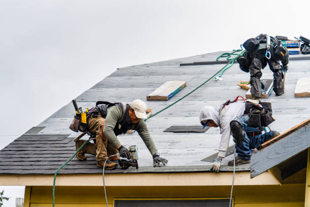 Professional Gutter Installation technician working in Plum, TX